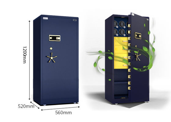 Meilleur bijoux pour la maison Montres à remontage sécurisées Biométrique Fermeture d'empreintes digitales Petite