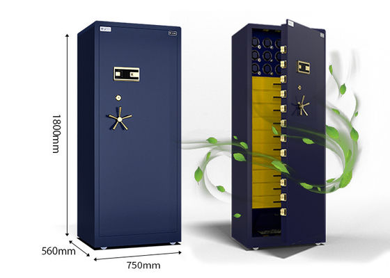 Jeu de grosse joaillerie montre enrouleur coffre-fort meilleur logement verrouillage d'empreintes digitales biométriques